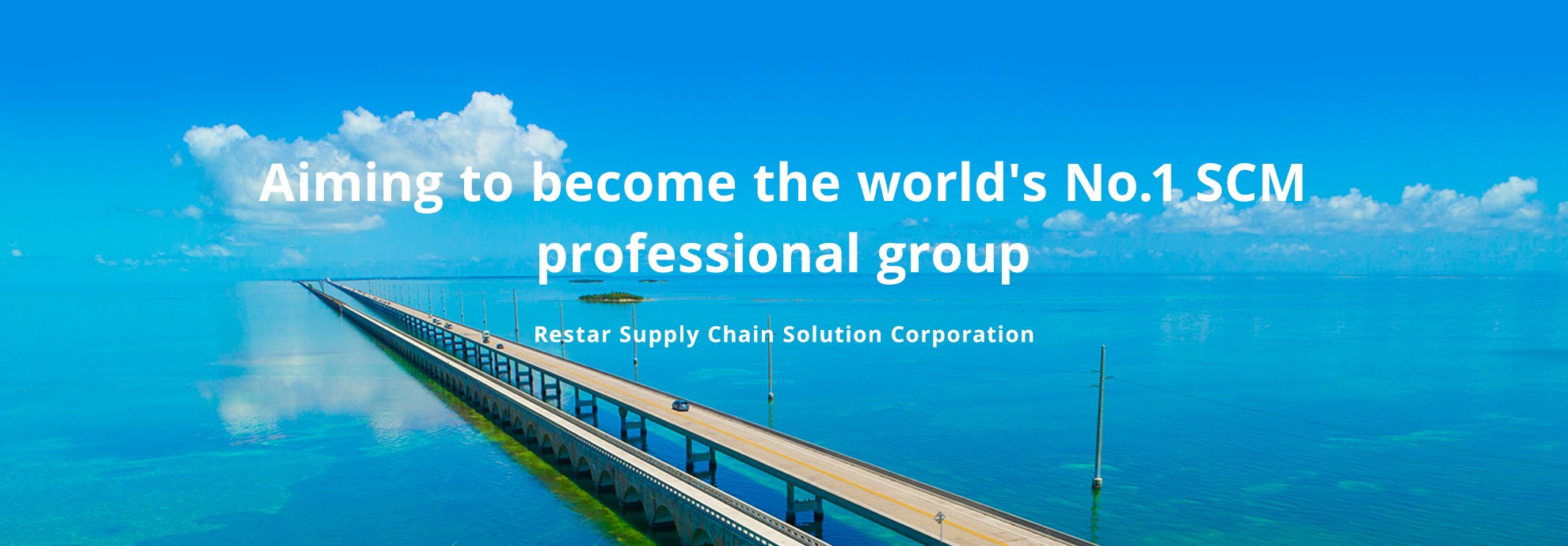 Aiming to become the world's No. 1 SCM professional group